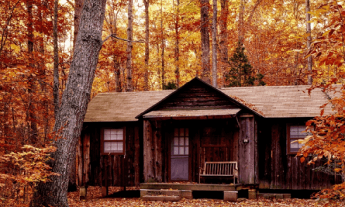Lovely cabin in the woods, large windows