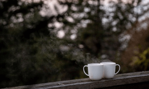 Photo by Tatiana Syrikova from Pexels